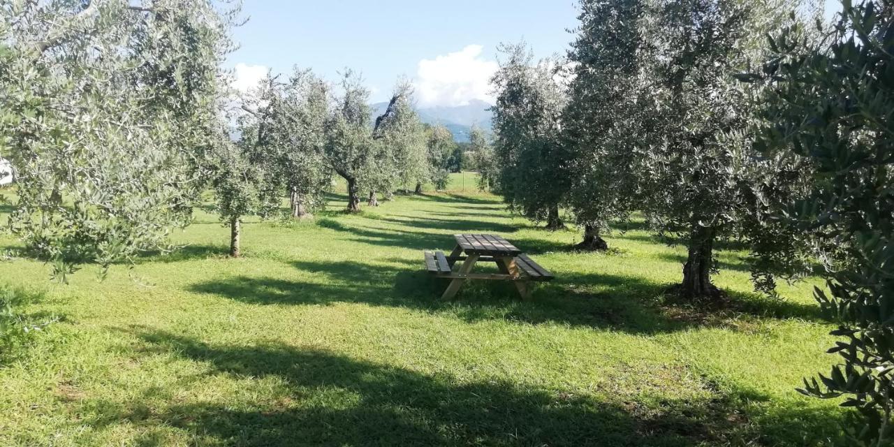 Agriturismo Fioralba Polpenazze del Garda Exteriér fotografie