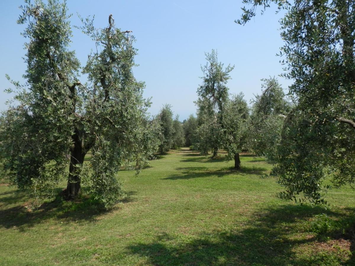 Agriturismo Fioralba Polpenazze del Garda Exteriér fotografie
