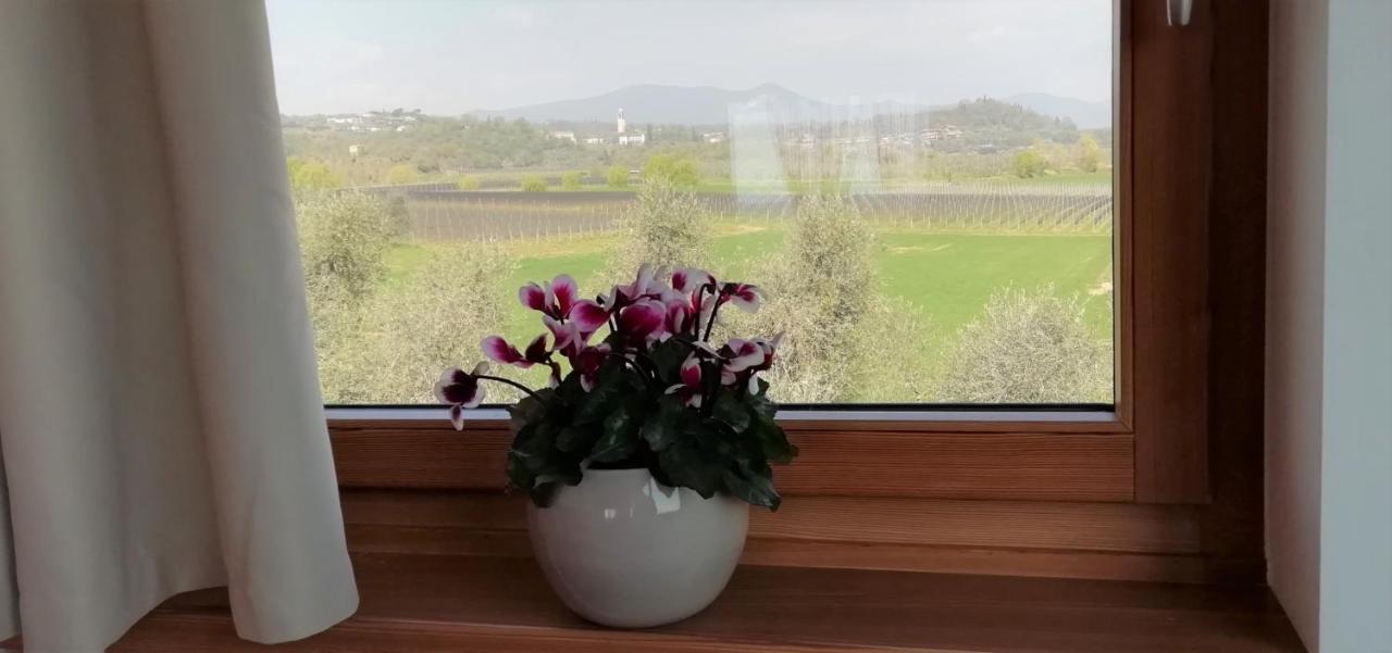 Agriturismo Fioralba Polpenazze del Garda Exteriér fotografie