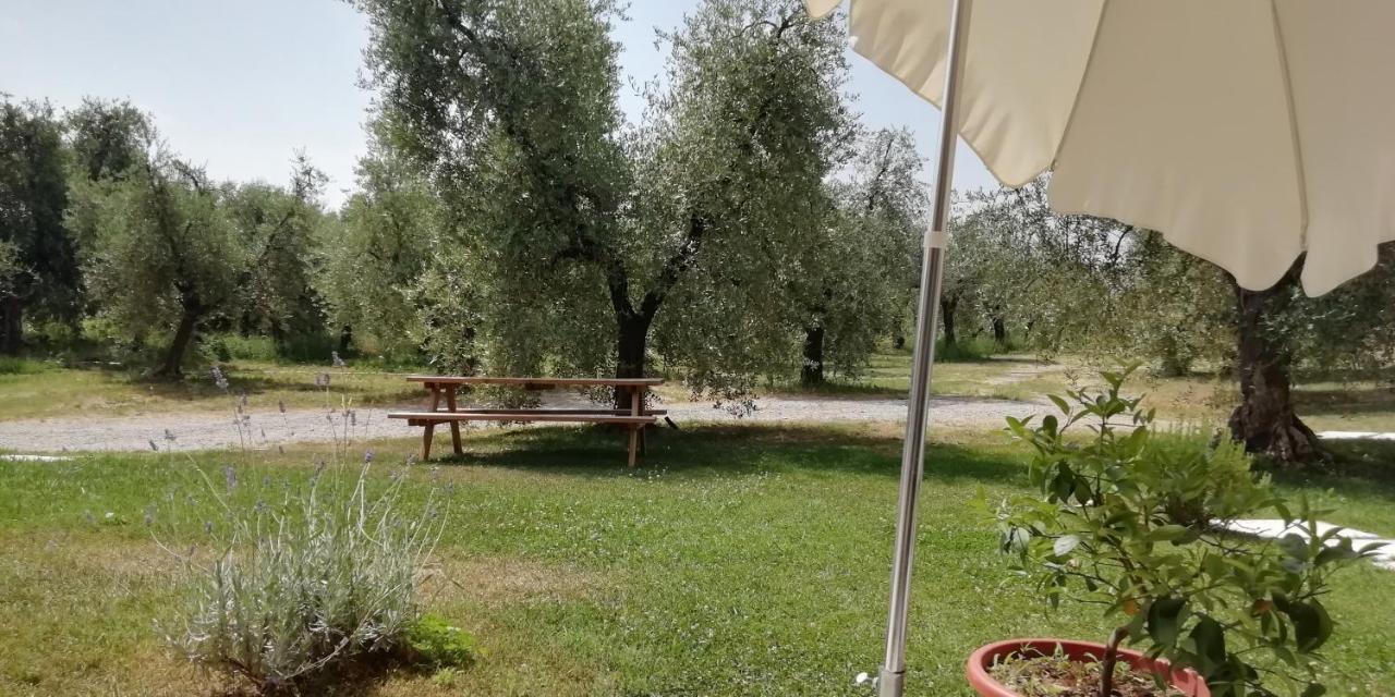 Agriturismo Fioralba Polpenazze del Garda Exteriér fotografie