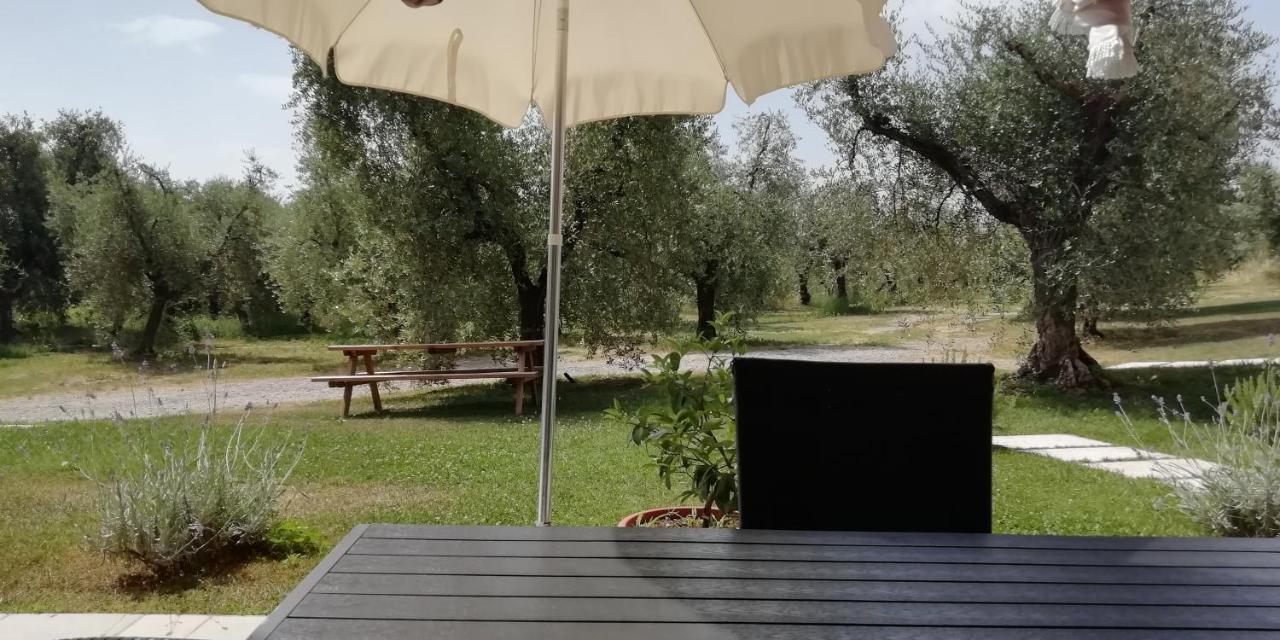 Agriturismo Fioralba Polpenazze del Garda Exteriér fotografie