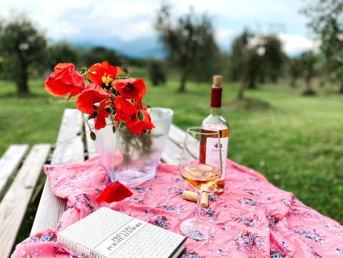 Agriturismo Fioralba Polpenazze del Garda Exteriér fotografie