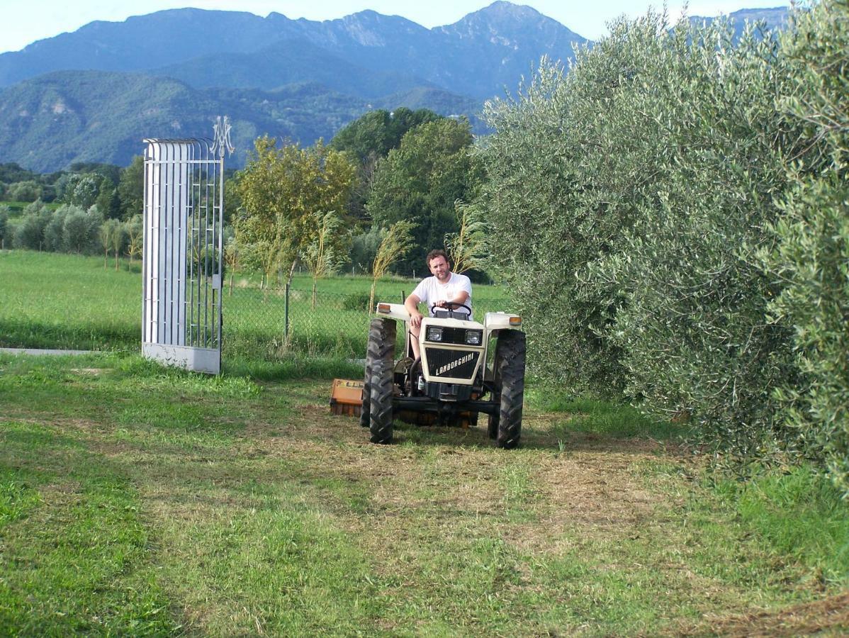 Agriturismo Fioralba Polpenazze del Garda Exteriér fotografie