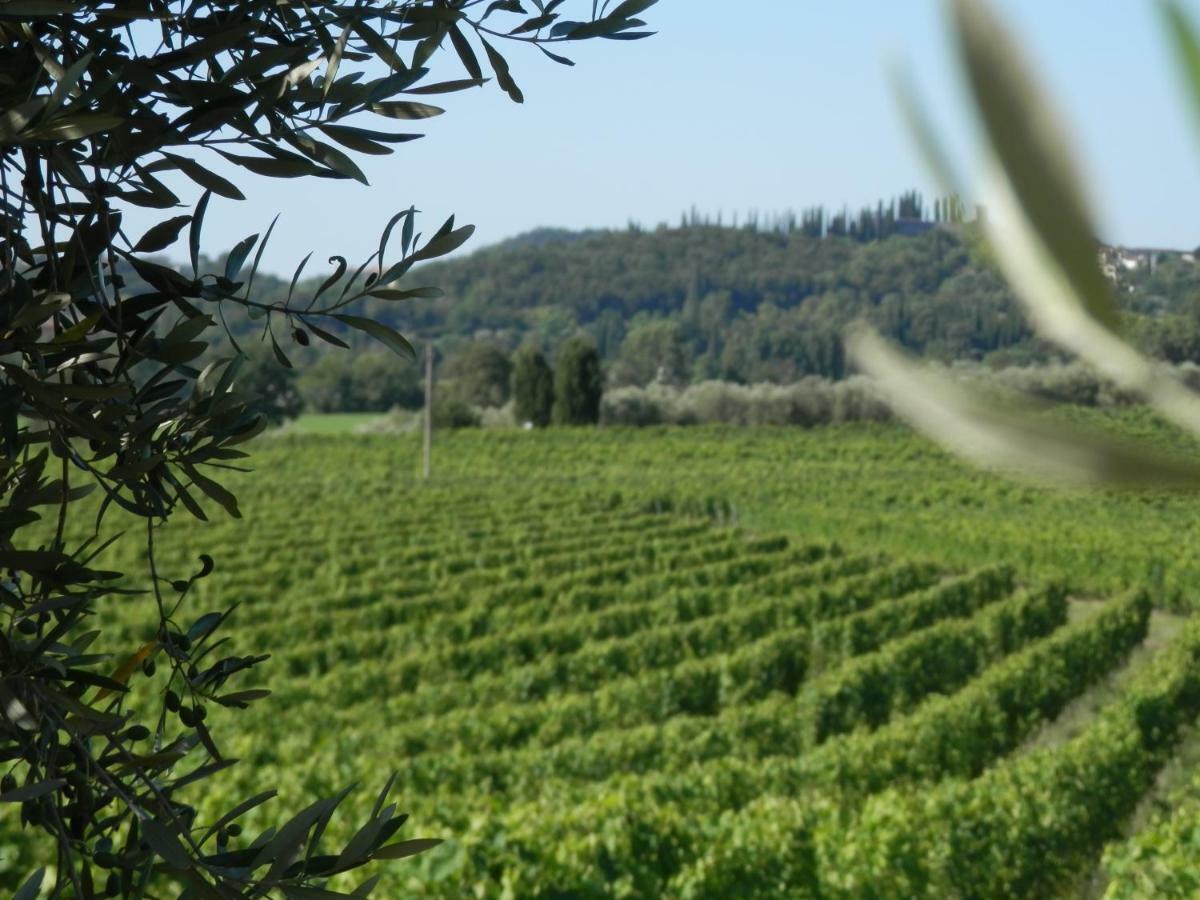 Agriturismo Fioralba Polpenazze del Garda Exteriér fotografie