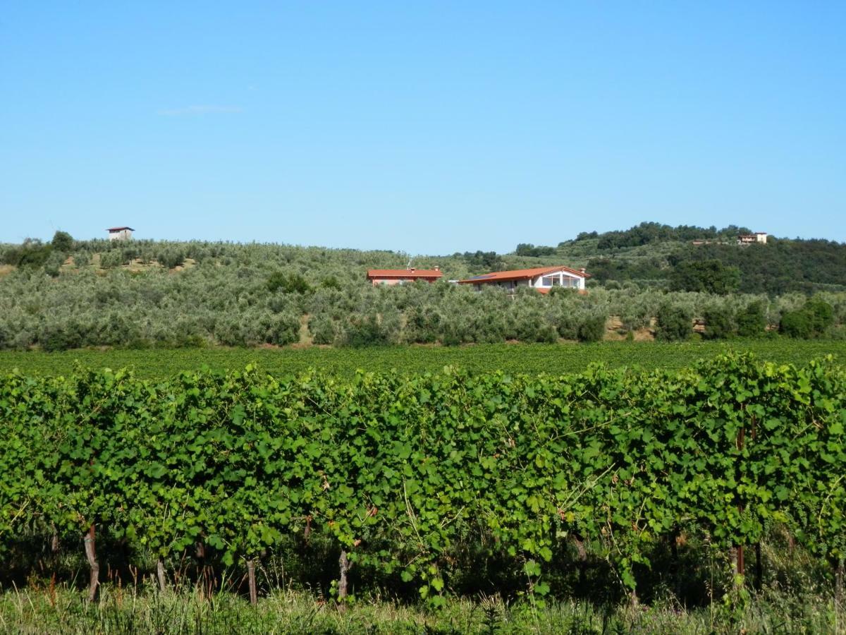 Agriturismo Fioralba Polpenazze del Garda Exteriér fotografie